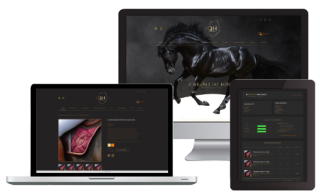 QueenHorse